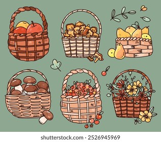 Hand drawn vector set with autumn basket with fruits, berries and flowers
