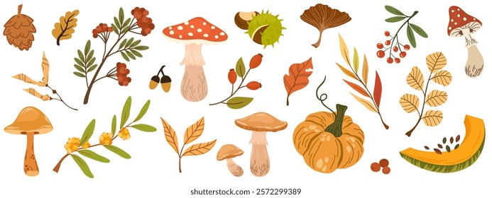 Hand drawn vector set autumn elements. Fall leaves, mushrooms, maple, acorns, berries, oak, pumpkins and fallen dry leaves. Harvest time. Colored trendy illustration. Autumn floral vector doodle