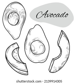 Obtención de imágenes de aguacate, rodajas y trozos de fruto de aguacate
