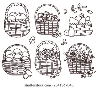 Hand drawn vector set basket with autumn berries , fruits and mushroom
