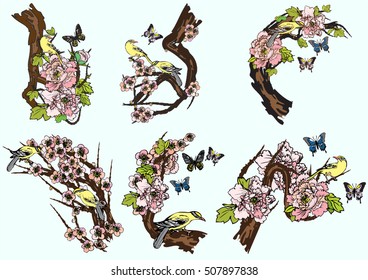 Hand drawn vector set birds and butterflies background peonies flower, cherry blossoms.