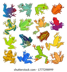 Hand drawn vector set of colorful tree frogs isolated on white background. Original stock illustration of amphibians. svg