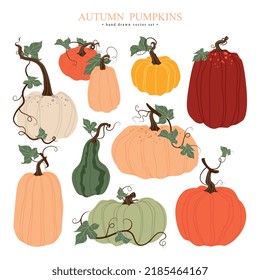 Hand drawn vector set of colorful pumpkins with leaves for autumn decorative design, halloween, harvest, thanksgiving. Concept vegetables, crops, food, farming.