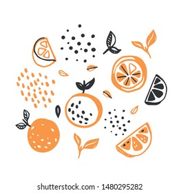 Conjunto vector dibujado a mano de naranjas decorativas y elementos cítricos.