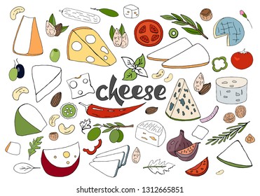 Hand drawn vector set with different types of cheeses, spices and nuts isolated on white background