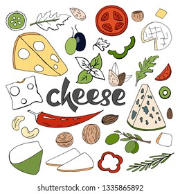 Hand drawn vector set with different types of cheeses, spices and nuts isolated on white background