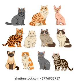 Hand drawn vector set of domestic animals. Collection of popular cats breeds.