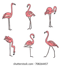 Hand drawn vector set with flamingo. Line art style drawing. Could be used as print, poster,  book page and textile.
