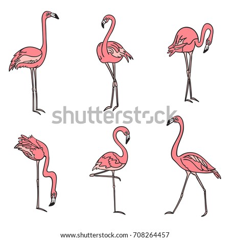 Hand drawn vector set with flamingo. Line art style drawing. Could be used as print, poster,  book page and textile.
