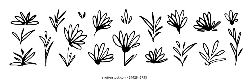 Hand drawn vector set of floral elements. Flowers, leaves and twigs, blades of grass. Nature and vegetation, plants.. Ink sketch.