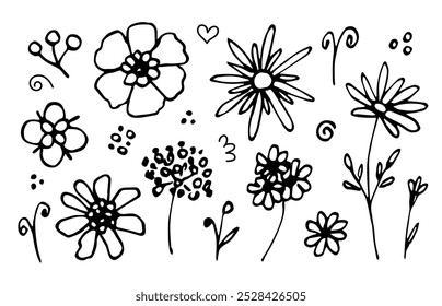 Hand drawn vector set of floral elements. Flowers on a stem, daisies, chamomile, twigs. Nature, plants. Sketch in ink.