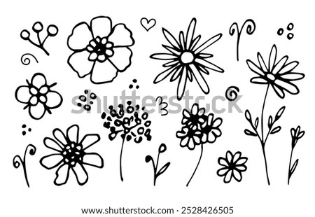 Hand drawn vector set of floral elements. Flowers on a stem, daisies, chamomile, twigs. Nature, plants. Sketch in ink.