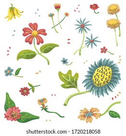 hand drawn vector set of flower on white background.