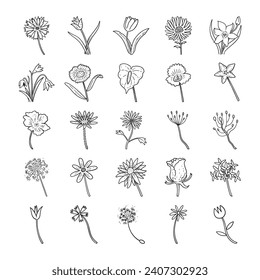hand drawn vector set of a flower illustration.