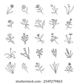 hand drawn vector set of flower illustration isolated on white background.