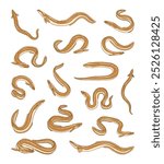 hand drawn vector set of freshwater eel illustration isolated on white background.