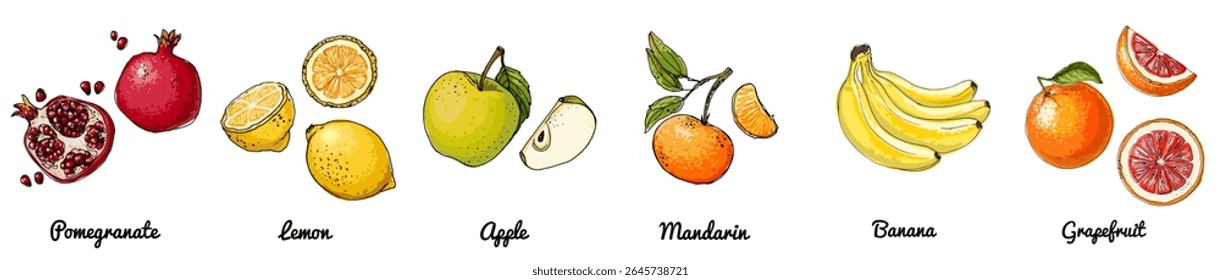Handgezeichneter Vektorsatz von Früchten - Granatapfel, Zitrone, Apfel, Mandarin, Banane, Grapefruit