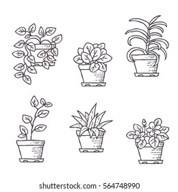 Hand drawn vector set of houseplants in pots. Illustration of flowers isolated on white background.