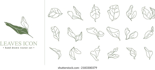 Hand drawn vector set icon collection with line leaves isolated on white background. Leaves logo.