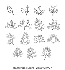 hand drawn vector set of leaves illustration isolated on white background.