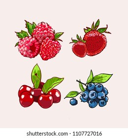 Hand drawn vector set Letterig summer berry colorful marker illustration. Berries engraving doodle sketch etch line. Raspberry, strawberry, cherry on white background. Dessert farm natural product.