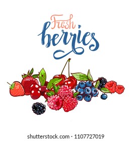 Hand drawn vector set Letterig summer berry colorful marker illustration. Berries engraving doodle sketch etch line. Raspberry, strawberry, cherry on white background. Dessert farm natural product.