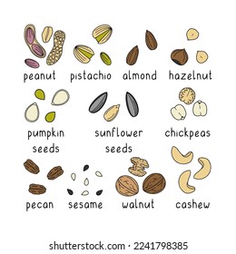 Hand drawn vector set of nuts and seeds isolated on white background.