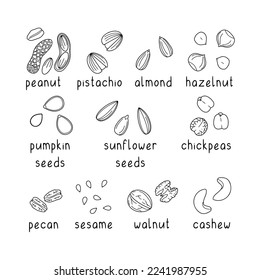 Hand drawn vector set of nuts and seeds isolated on white background.