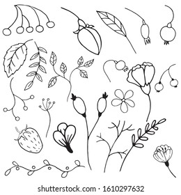 Hand drawn vector set of ornamental floral elements: berries, flowers, twigs, leaves. Black outlines isolated on white. Doodle style. Decoration for greeting cards, gifts, wrapping paper etc.