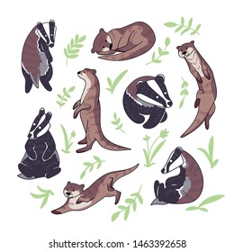 Hand drawn vector set of otters and badgers. Cute doodle illustration of animal characters in different poses with leaves.