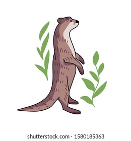 Hand drawn vector set of otters. Cute doodle illustration of Lutra lutra with plants