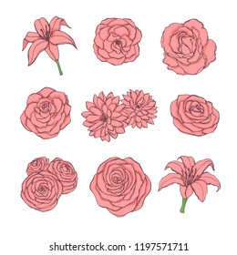 Hand drawn vector set of pink rose, lily, peony and chrysanthemum flowers contour isolated on the white background. Vintage floral decoration.