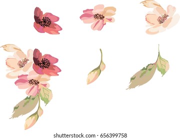 Hand drawn vector set of pink flowers on the transparent background