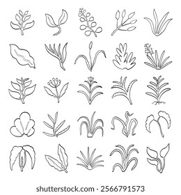 hand drawn vector set of plant element for decoration isolated on white background.