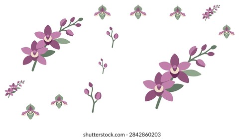 hand drawn vector set of purple orchid flowers and buds with green leaves isolated on white background for floral design projects