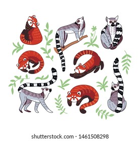 Hand drawn vector set of red pandas and ring tailed lemurs. Cute doodle illustration of animal caracters in different poses with leaves.