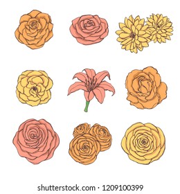 Hand drawn vector set of rose, lily, peony and chrysanthemum flowers in yellow, orange and pink colors isolated on the white background. Vintage floral elements.