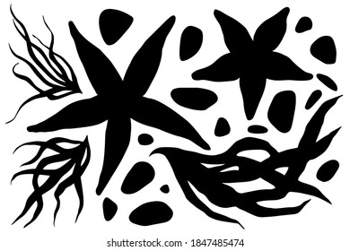 Hand drawn vector set of sea treasures black silhouettes. Stock illustration of starfishes, sea plants and stones.