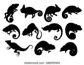 Hand drawn vector set of silhouettes of  chameleons isolated on white background. Black and white  stock illustration of lizard.