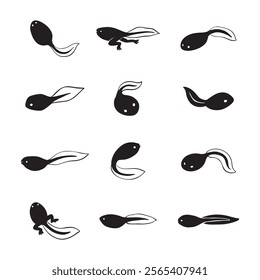 hand drawn vector set of tadpole illustration isolated on white background.