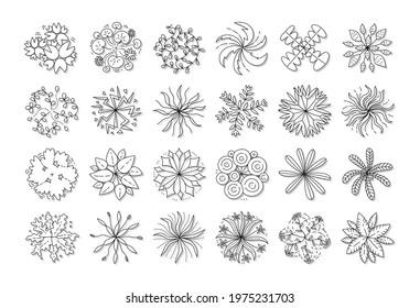 hand drawn vector set of top view tree isolated on white background.

