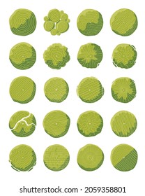 hand drawn vector set of top view tree isolated on white background