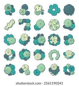 hand drawn vector set top view of tree illustration for landscape and architectural design isolated on white background.