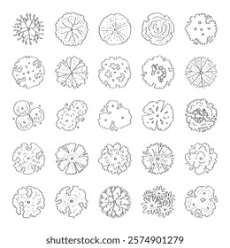 hand drawn vector set top view of tree illustration for landscape and architectural design isolated on white background.