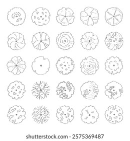 hand drawn vector set top view of tree illustration for landscape and architectural design isolated on white background.