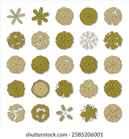 hand drawn vector set top view of tree illustration for landscape and architectural design isolated on white background.