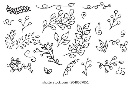 Hand drawn vector set of tree branches and herbs. Black doodles isolated on white background. Botanical illustration for print, web, design, decor, logo.