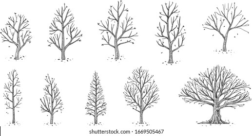 hand drawn vector set of trees
