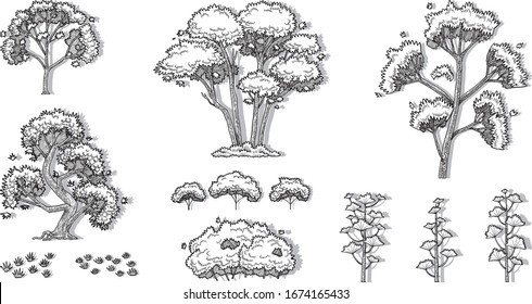 hand drawn vector set of trees.