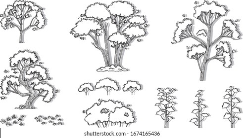 hand drawn vector set of trees.
